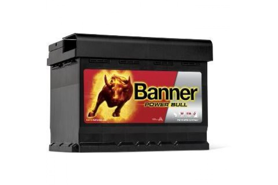 Banner Power Bull P5003 (50 A/h), 450А R+