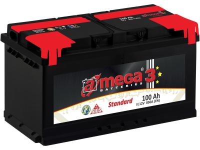 A-mega Standard Asia (100 A/h), 700A L+